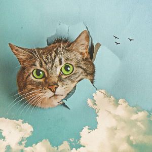 把移动公司小情人车震在线播放
