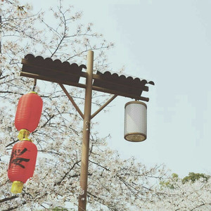 把移动公司小情人车震在线播放
